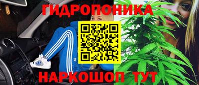 альфа пвп Заводоуковск