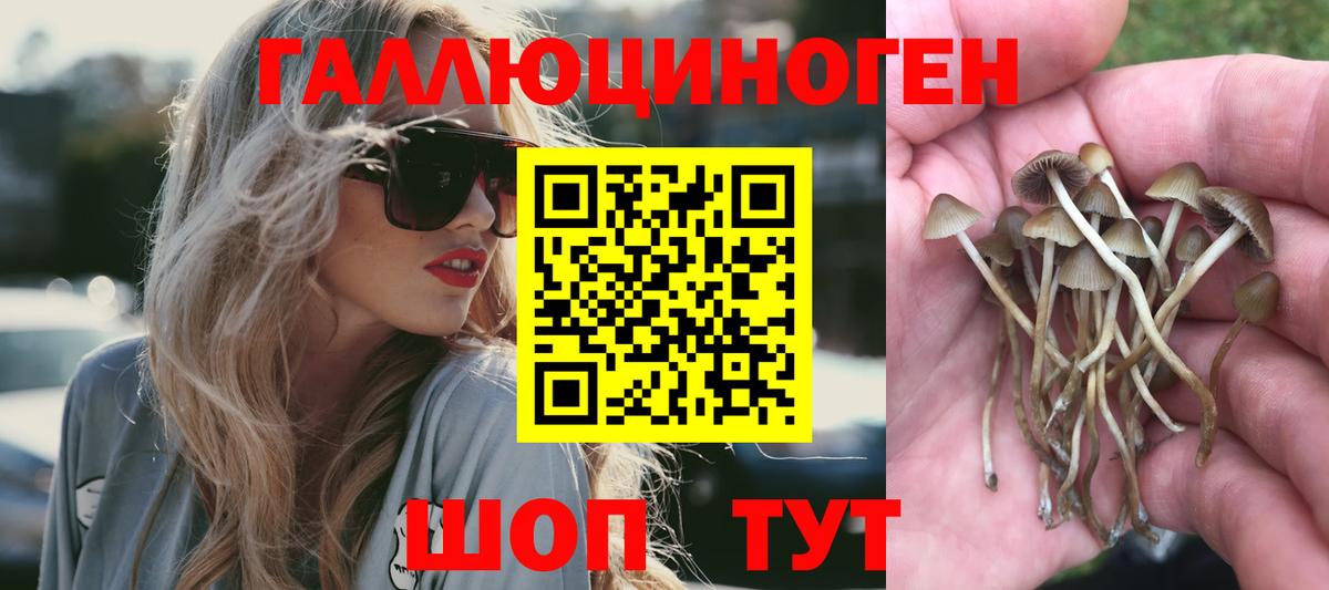 Псилоцибиновые грибы прущие грибы Ирбит