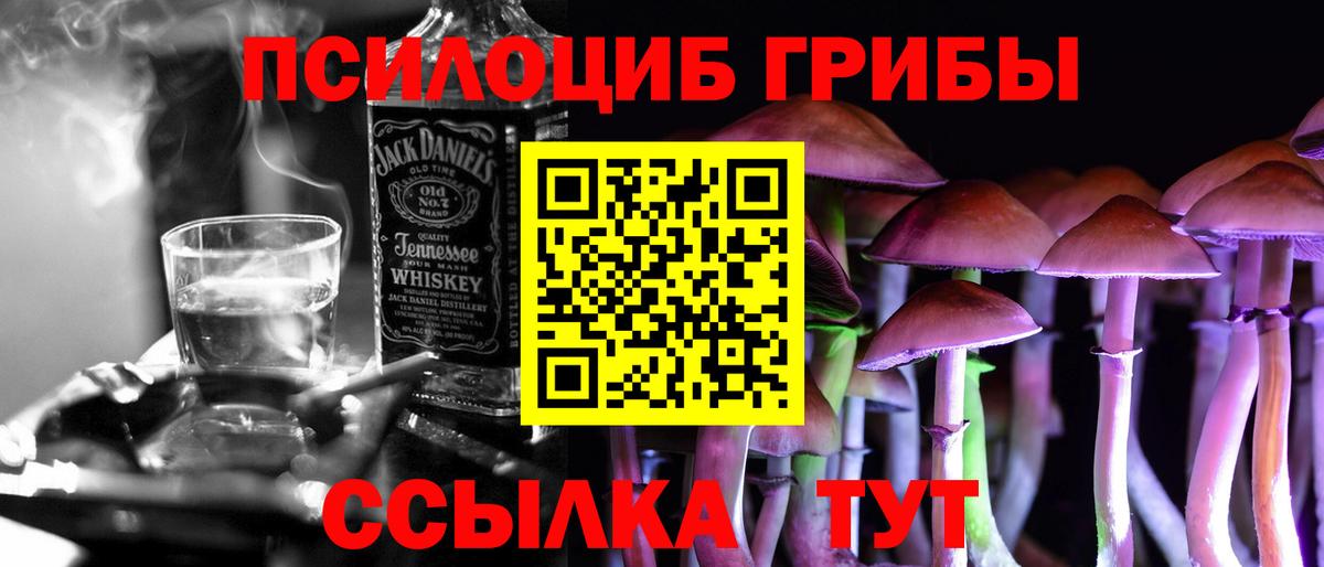 Ирбит  Галлюциногенные грибы прущие грибы  Вход с VPN 